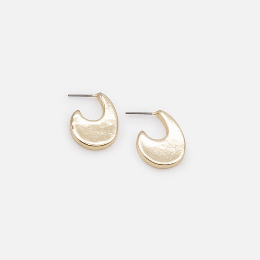 PR253E014GL - Golden hooks earrings
