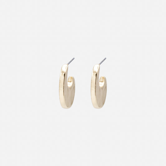PR253E014GL - Golden hooks earrings