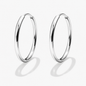 Silvered Sleeper Earrings in Stainless Steel